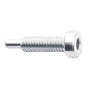 Запчасть для мультитула SKS SCREW FOR CHAIN ​​RIVETER CT-WORX SILVER 286095 фото