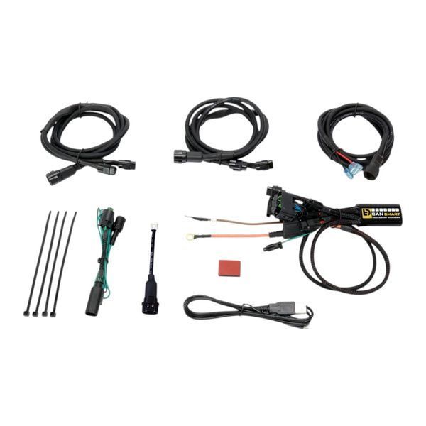 Контролер Denali CANsmart&trade; Controller GEN I для BMW R1200 Hex Head Series DNL.WHS.11800 фото