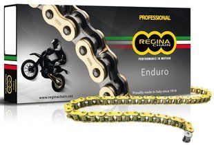 Цепь Regina ZSE Chain - 520 [Gold], 520-120L / Seal Ring 135ZSE/1004 фото