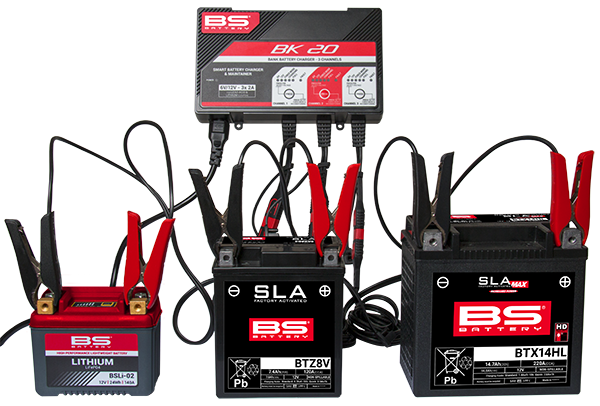 Зарядное устройство для аккумулятора BS Battery BK20 - 3 CHANNELS BANK CHARGER 6V/12V 2A, многоканальное 700547 фото