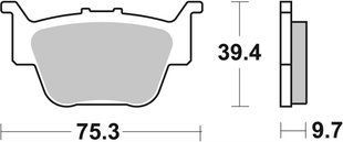Гальмівні колодки SBS Sport Brake Pads, Sinter/Carbon 813SI фото
