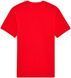 Футболка FOX PREMIUM Short Sleeve Tee - RS [Red], L 36453-003-L фото 2