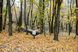 Гамак Tribe Hammock T-LE-0002 navi T-LE-0002-navy фото 6