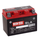 Акумулятор BS Battery SLA - BTZ14S (FA) 300638-1 фото 1