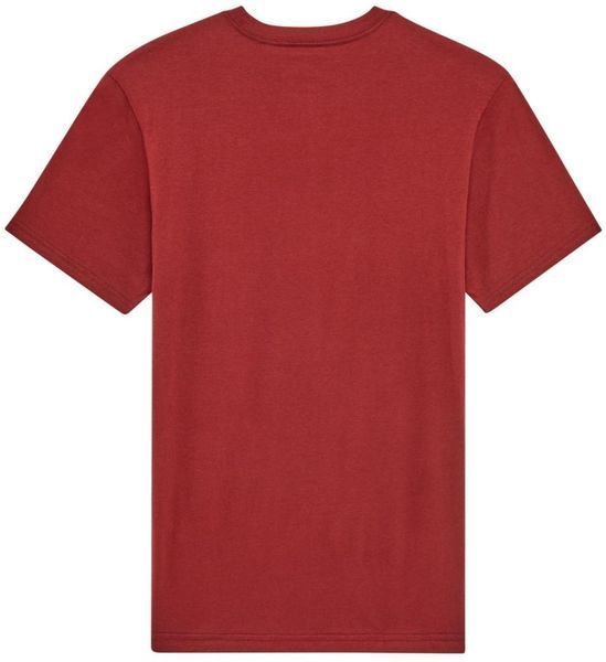 Футболка FOX PREMIUM Short Sleeve Tee - ABSOLUTE [Rust], L 31730-180-L фото