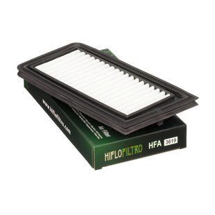 Воздушный фильтр HIFLO HFA3619 HFA3619 фото