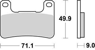 Гальмівні колодки SBS Track Days Front Brake Pads, Sinter 806RST фото