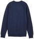 Кофта FOX ABSOLUTE Sweatshirt [Midnight], L 31591-329-L фото 3